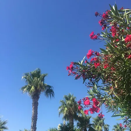 アパート Entre Pinede Et - Clim - Balcon